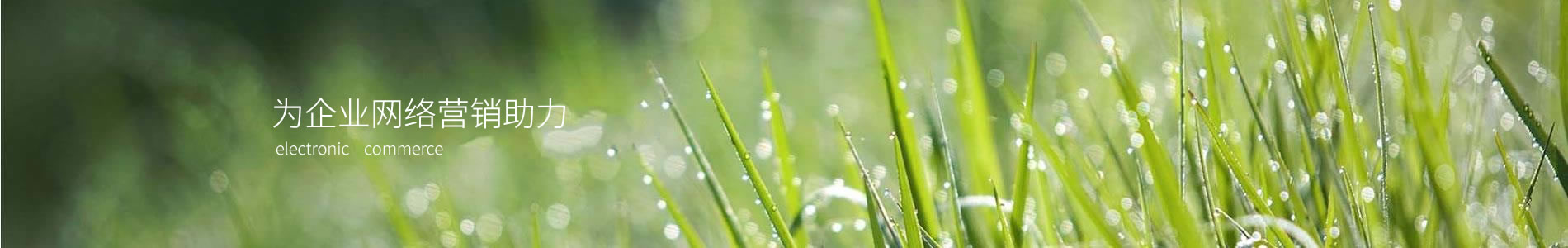ʢ½Ƽ޹˾